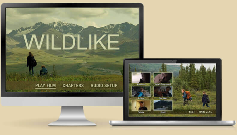 Deluxe DVD Authoring Deluxe DVD Authoring