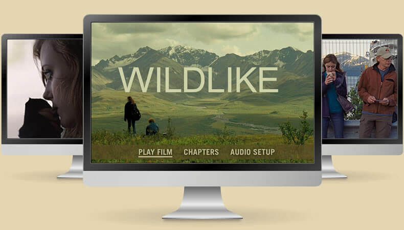 Deluxe DVD encoding with motion menu Deluxe DVD encoding with motion menu