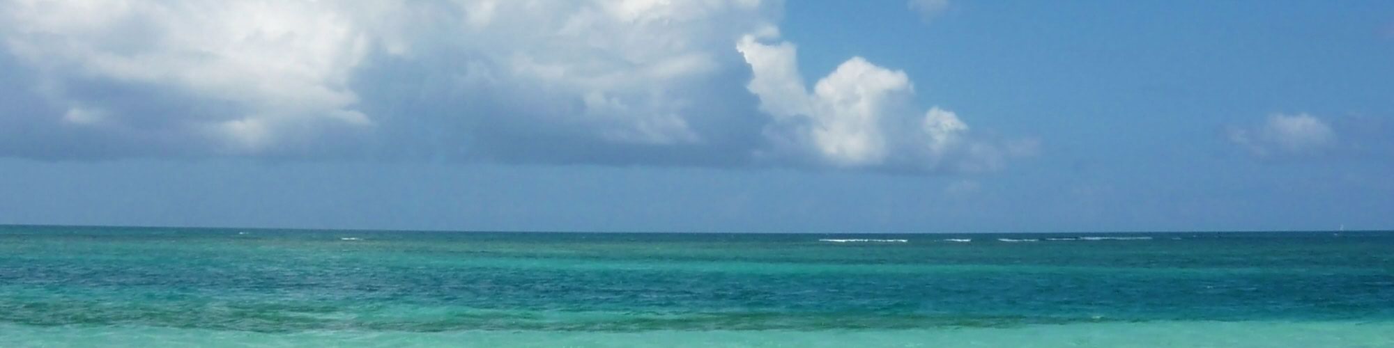 Carribean Carribean