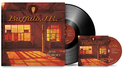 Custom vinyl record and CD package for Buffalo JR album After Tomorrow's Gone