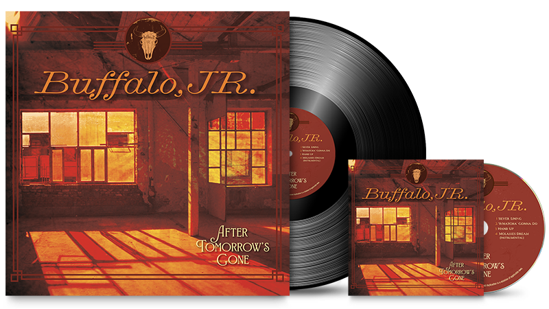 Custom vinyl record and CD package for Buffalo JR album After Tomorrow's Gone
