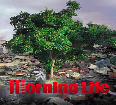 The Morning Life The Morning Life